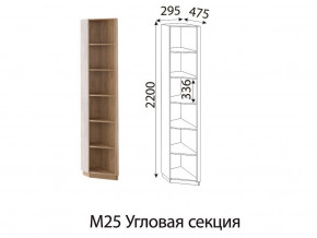 М25 Угловая секция в Краснотурьинске - krasnoturinsk.магазин96.com | фото