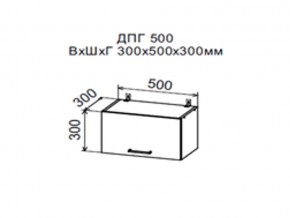 Шкаф верхний ДПГ500 горизонтальный в Краснотурьинске - krasnoturinsk.магазин96.com | фото