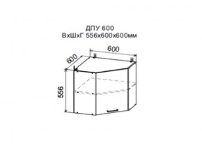 Шкаф верхний ДПУ600 угловой в Краснотурьинске - krasnoturinsk.магазин96.com | фото